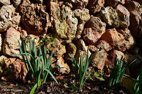 El jardin en invierno - Paperblog