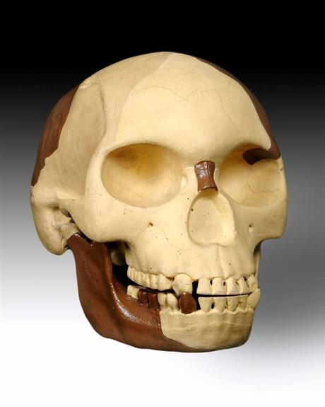 Invenciones, mentiras y otras arqueopatrañas Invenciones, mentiras y otras arqueopatrañas