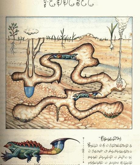 TODA LA VERDAD DEL CODEX SERAPHINIANUS