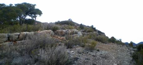 Un día en la montaña. Recuperación del paisaje Un día en la montaña. Recuperación del paisaje
