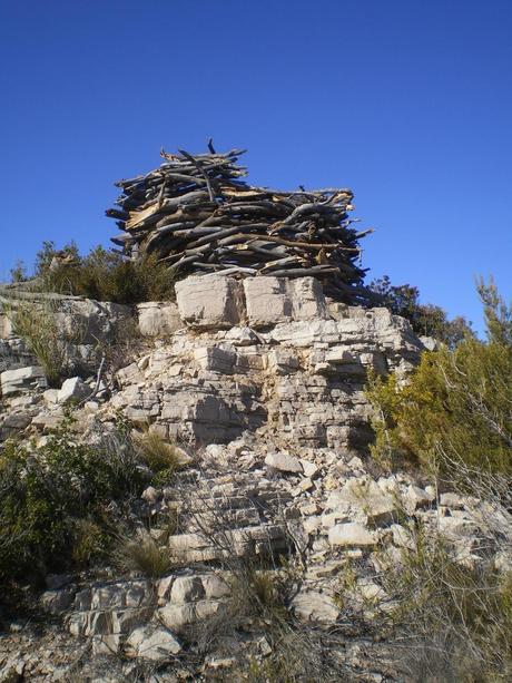 Un día en la montaña. Recuperación del paisaje Un día en la montaña. Recuperación del paisaje