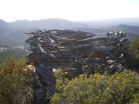 Un día en la montaña. Recuperación del paisaje Un día en la montaña. Recuperación del paisaje
