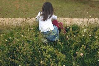 Un jardín de flores silvestres sobre el tejado