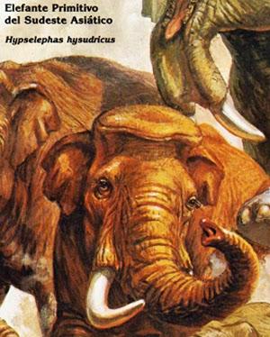 ZOOBOOKS: Antepasados de los elefantes