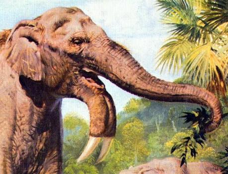 ZOOBOOKS: Antepasados de los elefantes