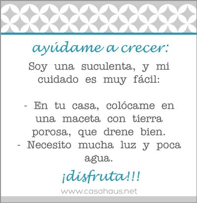 Hazlo tú mismo: Suculentas para baby shower cuidados