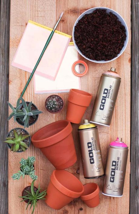 Decora tus macetas Low Cost Decora tus macetas Low Cost