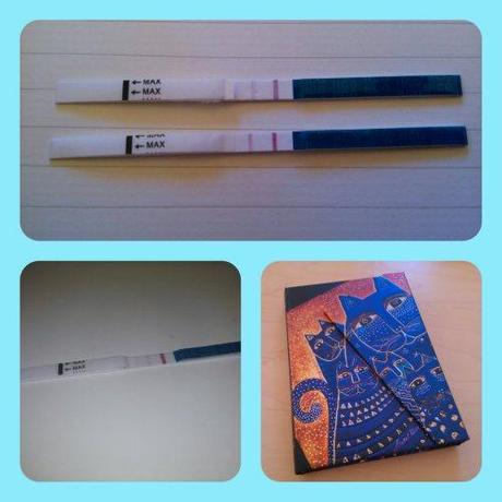 Si no lo veo (dos veces) no lo creo Abajo a la izquierda, el test en casa de este fin de semana. Arriba, el mismo junto al que me hicieron ayer en el ambulatorio, más marcado. Abajo a la derecha, mi nuevo diario. Son muchas sensaciones para recordar.