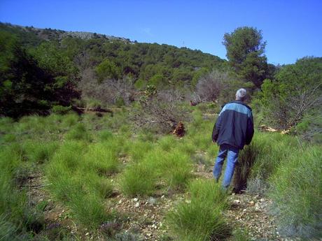 Ciclogénesis explosiva en la ladera del Pico del Aguila