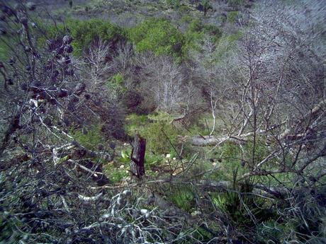 Ciclogénesis explosiva en la ladera del Pico del Aguila