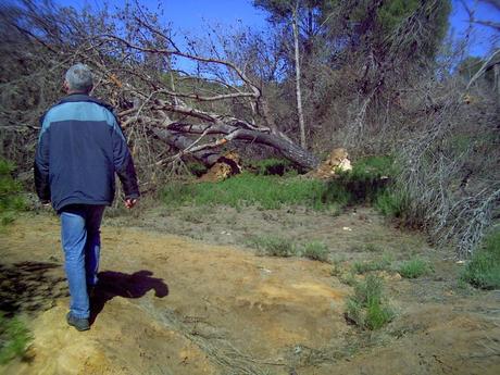 Ciclogénesis explosiva en la ladera del Pico del Aguila