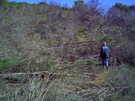 Ciclogénesis explosiva en la ladera del Pico del Aguila