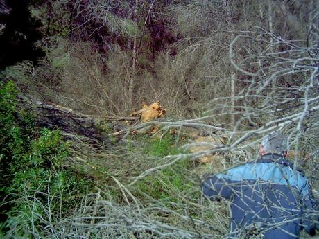 Ciclogénesis explosiva en la ladera del Pico del Aguila