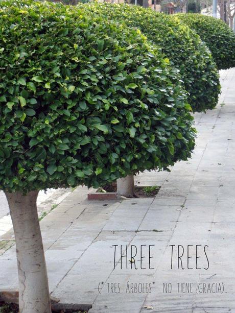 Píldoras con fotos. tres