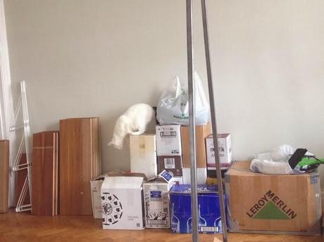 No es oro todo lo que reluce... Lou al desnudo. No es oro todo lo que reluce... Lou al desnudo.