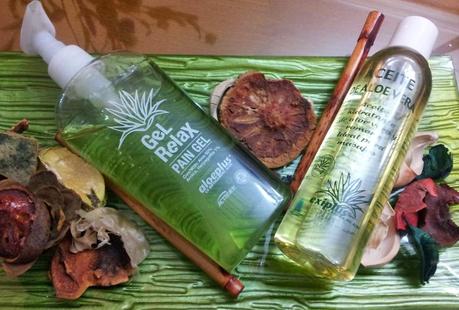 La Botiga del Aloe La Botiga del Aloe