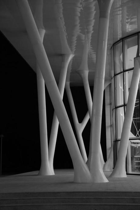 Centro Cultural Kayseri Ice Ring ia (3)