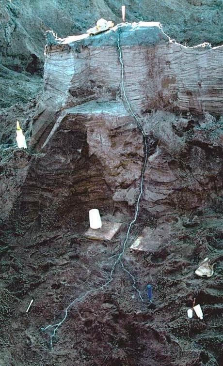 Fulguritas, los rayos petrificados RAYOS PETRIFICADOS,TRINITITAS Y METEORITOS