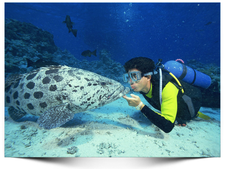 Columbretes Netes Columbretes Netes