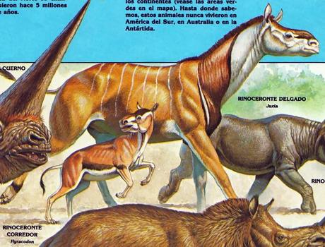 ZOOBOOKS: Antepasados de los rinocerontes