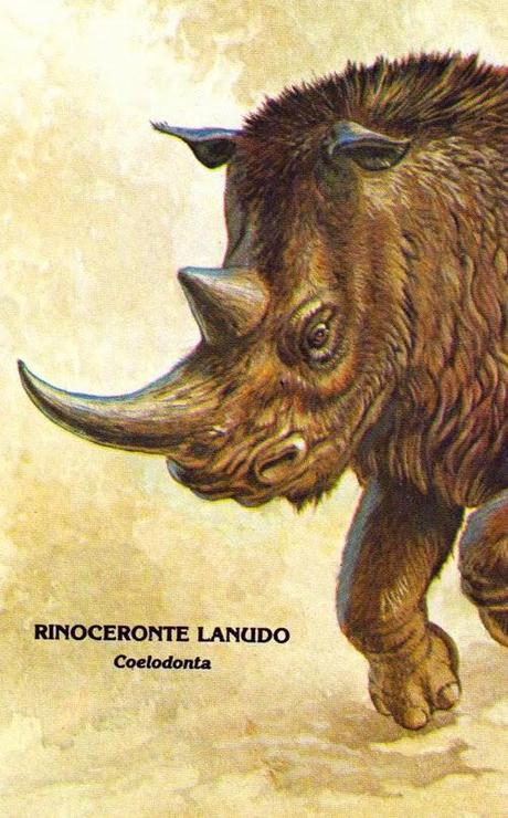 ZOOBOOKS: Antepasados de los rinocerontes