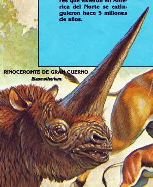 ZOOBOOKS: Antepasados de los rinocerontes