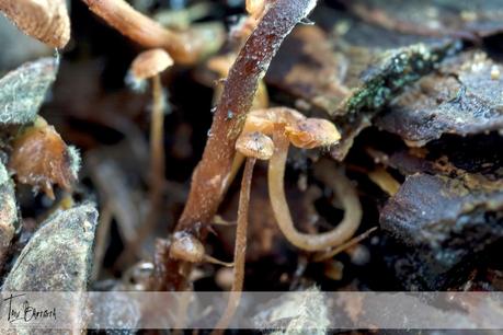 Haciendo macros Haciendo macros