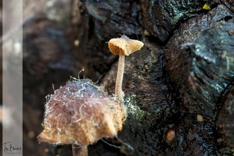 Haciendo macros Haciendo macros