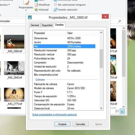 ¿Qué son los datos EXIF? ¿Qué son los datos EXIF?
