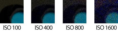 El triángulo de la exposición, medición de la luz y balance de blancos El triángulo de la exposición, medición de la luz y balance de blancos