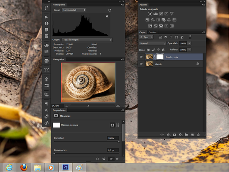 Enfocando digitalmente con Phoshop: Máscara de enfoque. Enfocando digitalmente con Phoshop: Máscara de enfoque.