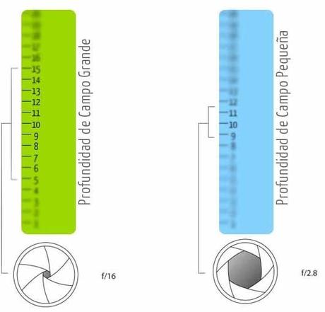 La profundidad de campo gráficamente La profundidad de campo gráficamente