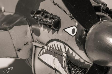 Crear un virado de forma digital con Photoshop. Crear un virado de forma digital con Photoshop.