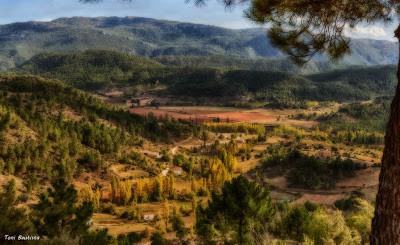 Como conseguir el Efecto Orton en 4 sencillos pasos Como conseguir el Efecto Orton en 4 sencillos pasos