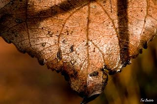 Una de macros Una de macros