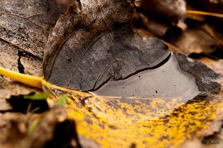 Una de macros Una de macros