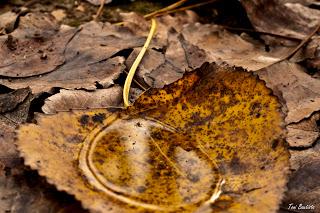 Una de macros Una de macros