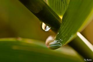 Una de macros Una de macros