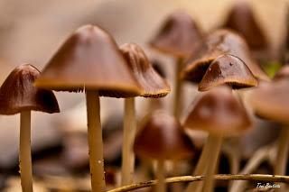 Una de macros Una de macros