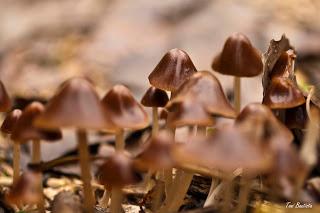 Una de macros Una de macros