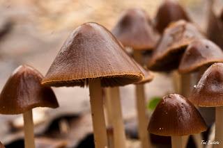 Una de macros Una de macros