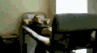 El Karma existe, 22 gifs que lo demuestran karma gif