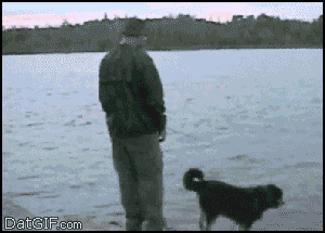 El Karma existe, 22 gifs que lo demuestran karma gif