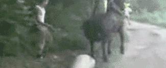 El Karma existe, 22 gifs que lo demuestran karma gif