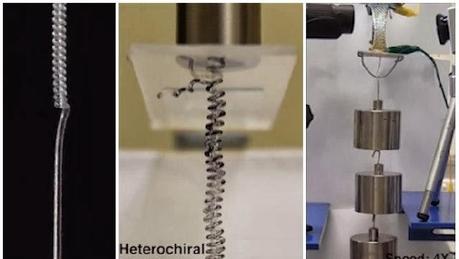 MÚSCULOS ARTIFICIALES DE NANOTUBOS DE CARBONO,GRAFENO,DIÓXIDO DE VANADIO Y POLIMEROS