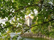 Castillo Chillon: Suiza Medieval