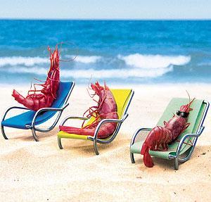 CERRADO POR VACACIONES CERRADO POR VACACIONES