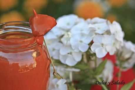 SALSA BRAVA SALSA BRAVA