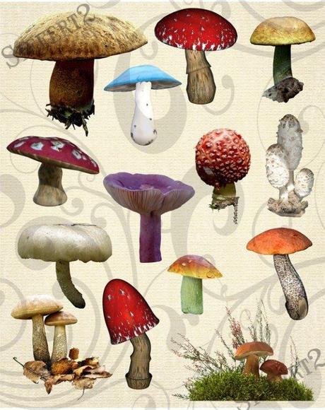 Pescando cosas Pescando cosas