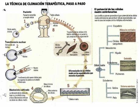 LA REVOLUCIÓN DE LA CLONACIÓN